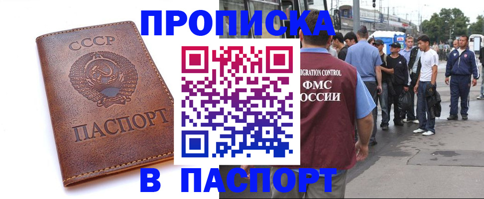 временная регистрация поиск в Невеле