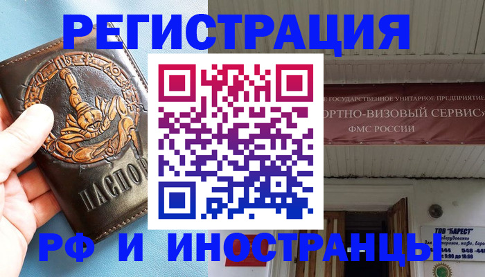 прописка поиск в Невеле